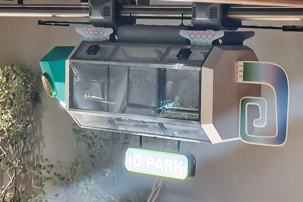 Lizard Rail Car